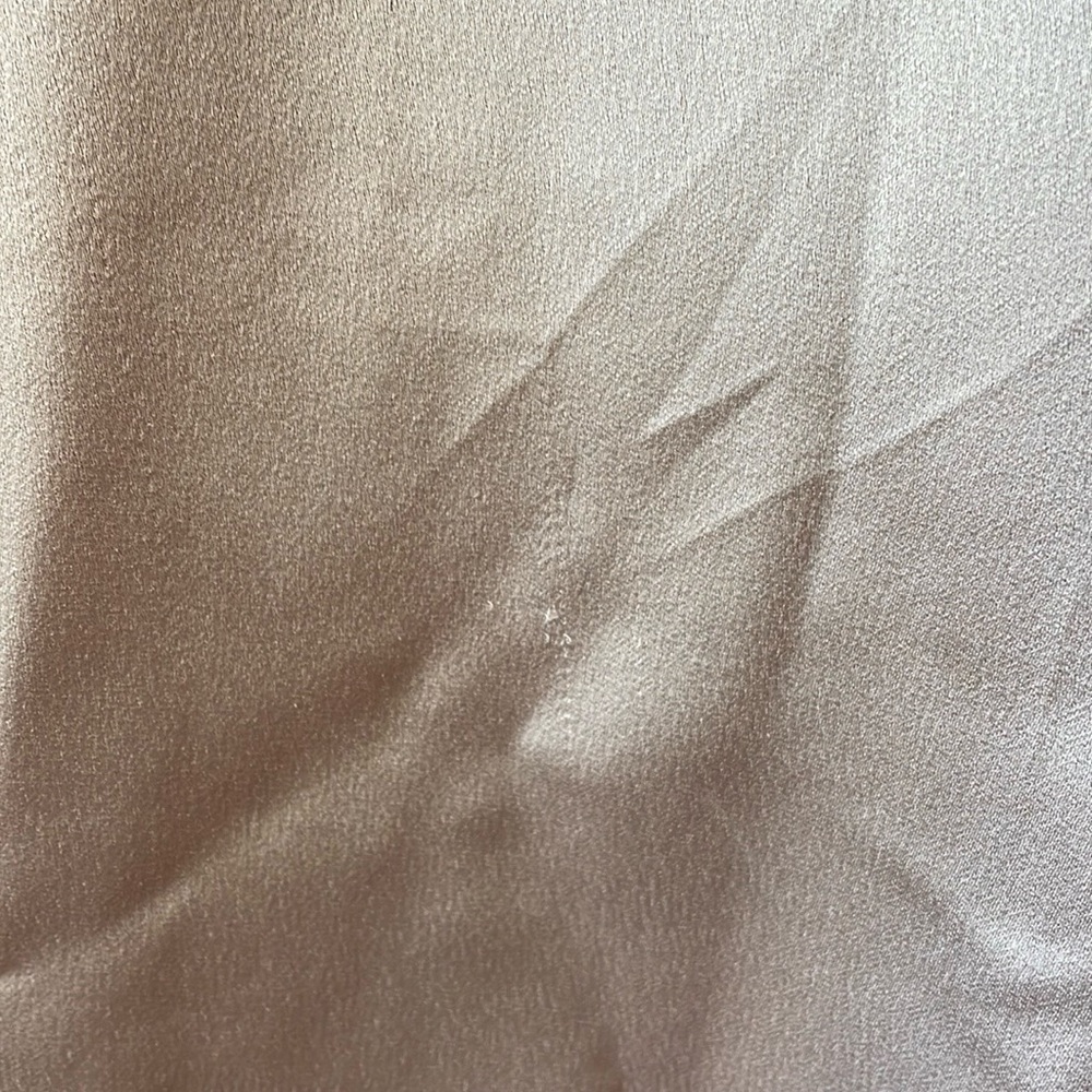 Jenny Yoo Priyanka Dress in Prosecco - Picture 9 of 9